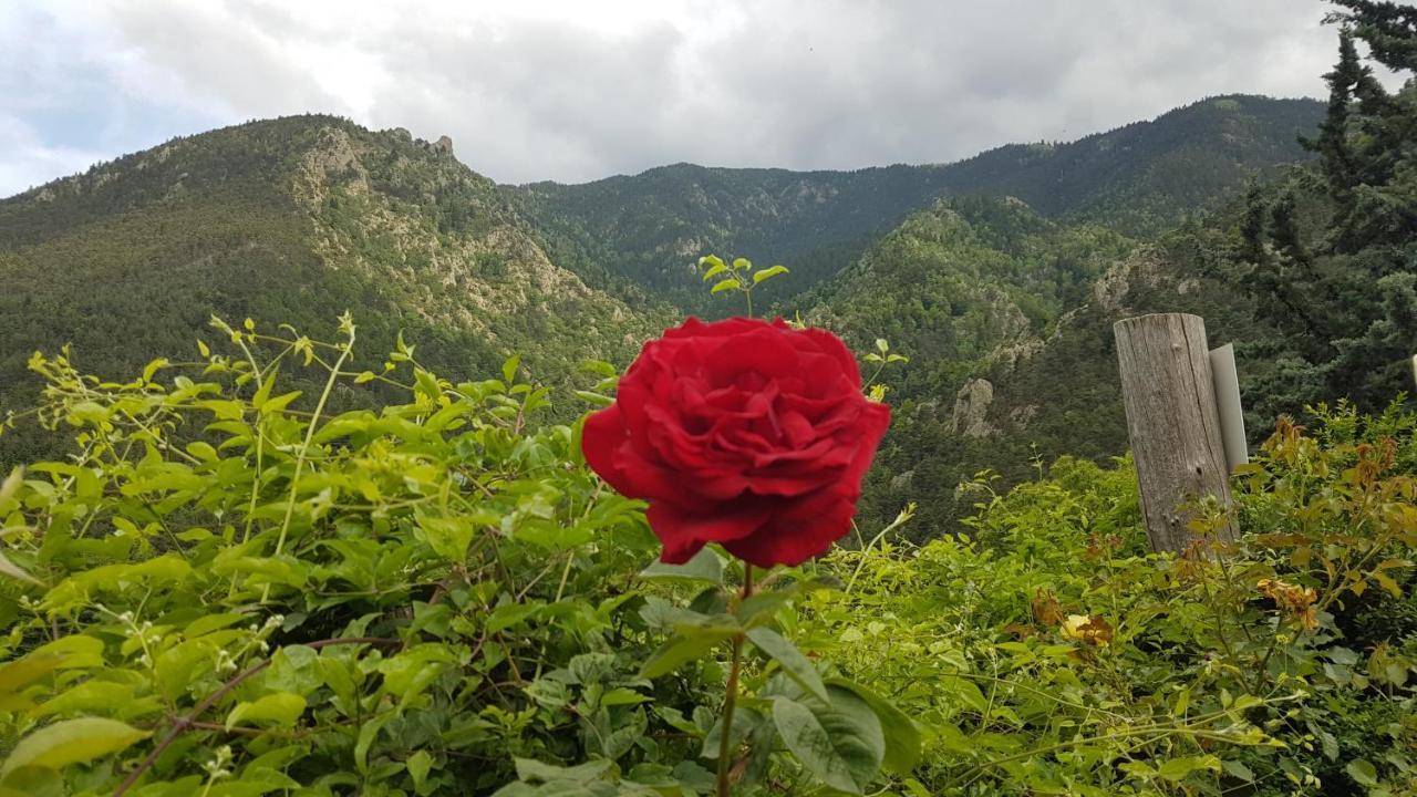 勒皮蒂特博纳尔露营地 Escaro 外观 照片